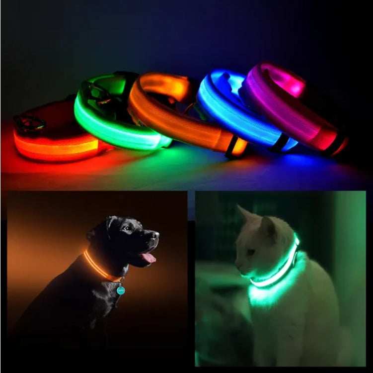 LED Pet Safety Collar