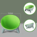 Raised and Angled Pet Food Bowl