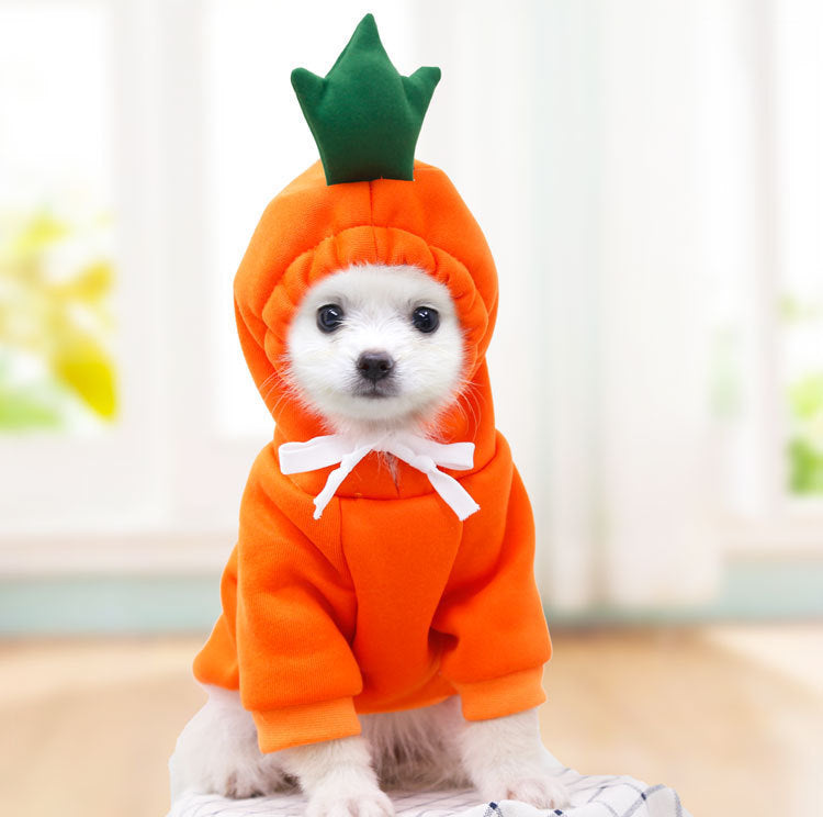 Small Dog & Cat Fleece Fruit Hoodie