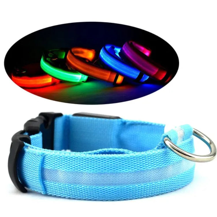 LED Pet Safety Collar