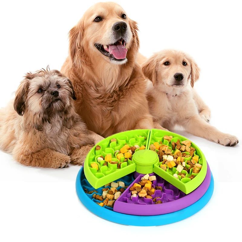 3-Layer Food Bowl for Fast Eaters