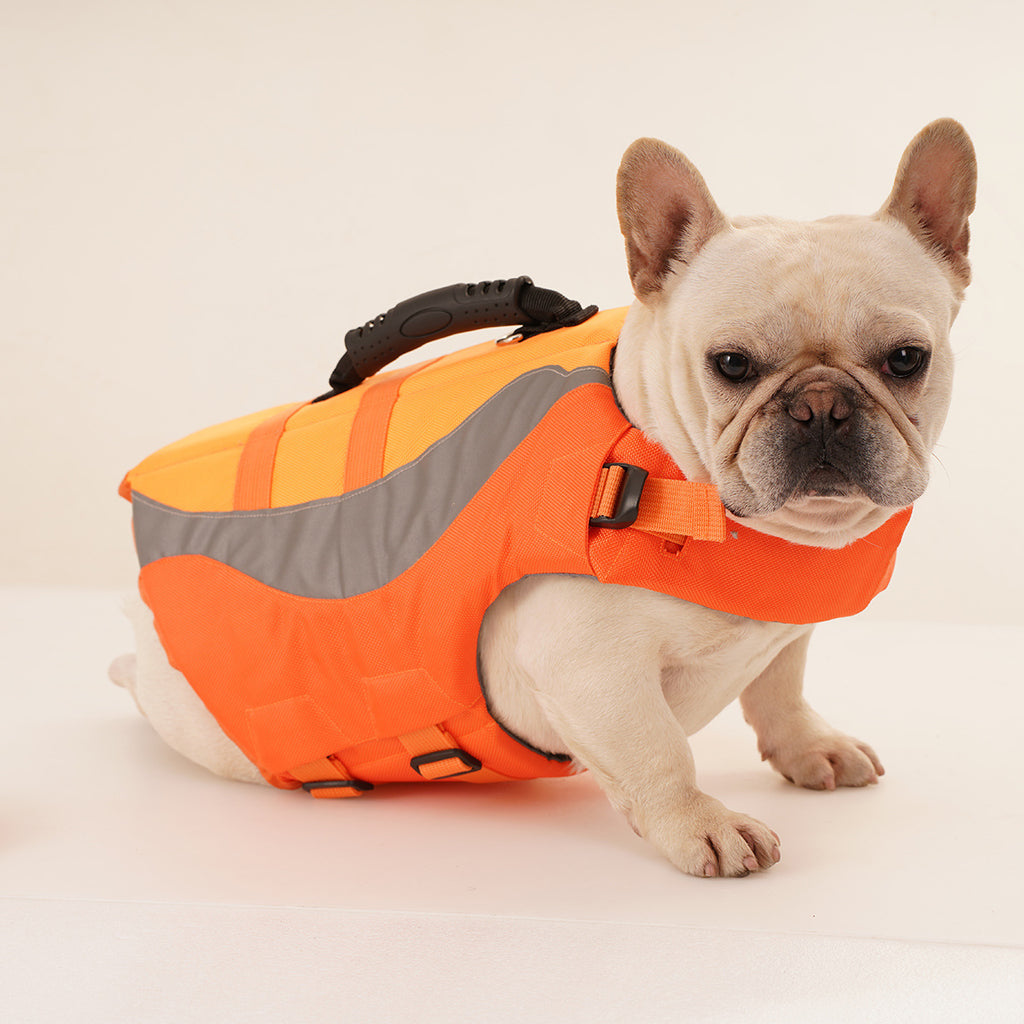 Reflective High-Visibility Life Jacket