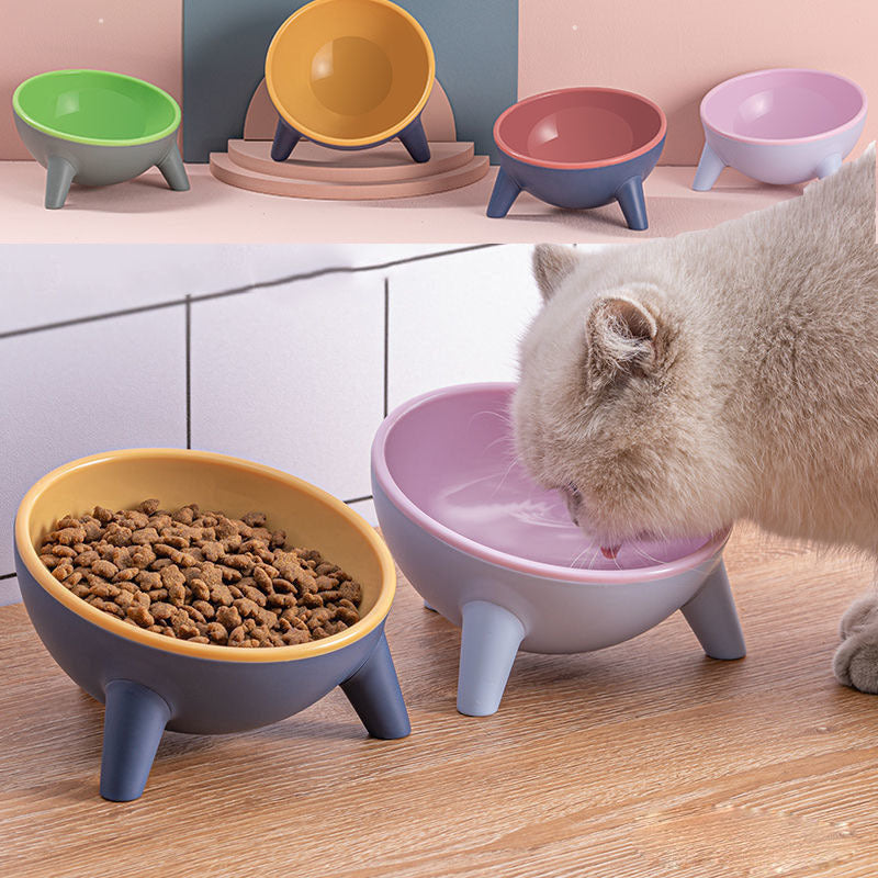 Raised and Angled Pet Food Bowl