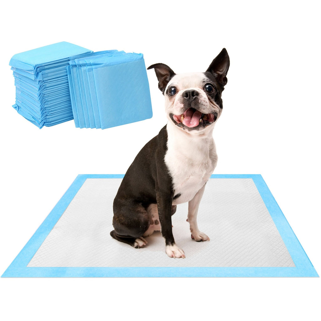 Training Potty Pads- 50 pack