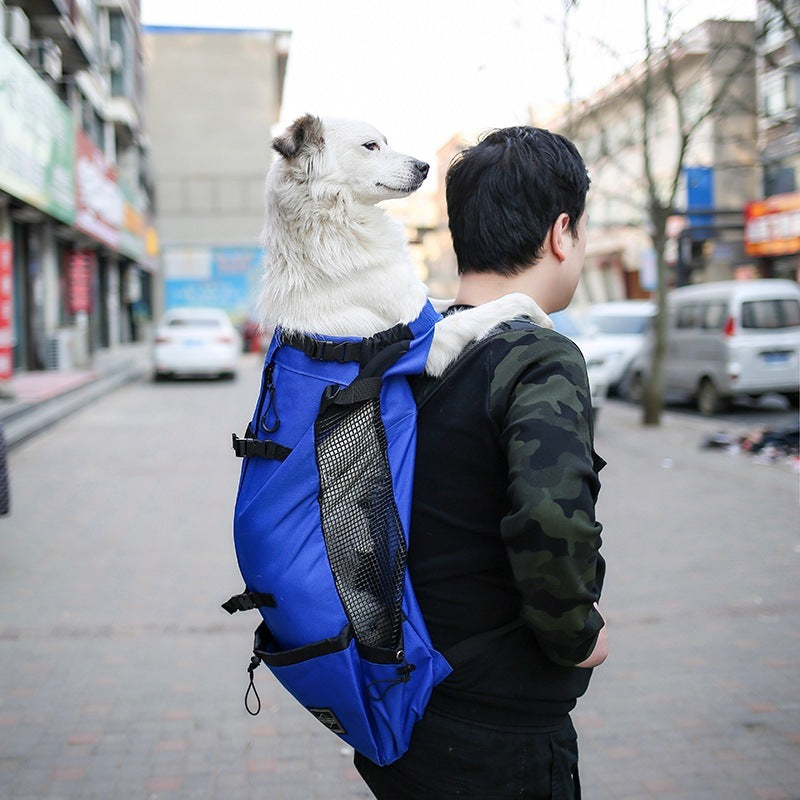 Pet Carrier Bag Travel Backpack
