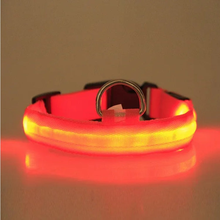 LED Pet Safety Collar