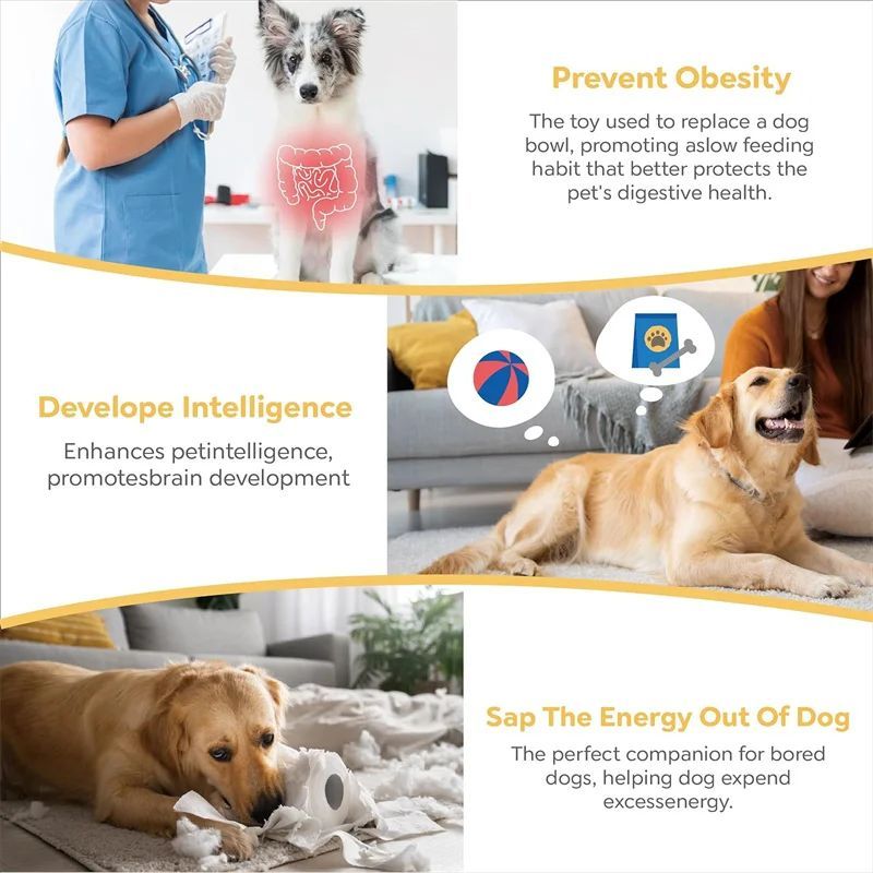 3-Layer Food Bowl for Fast Eaters