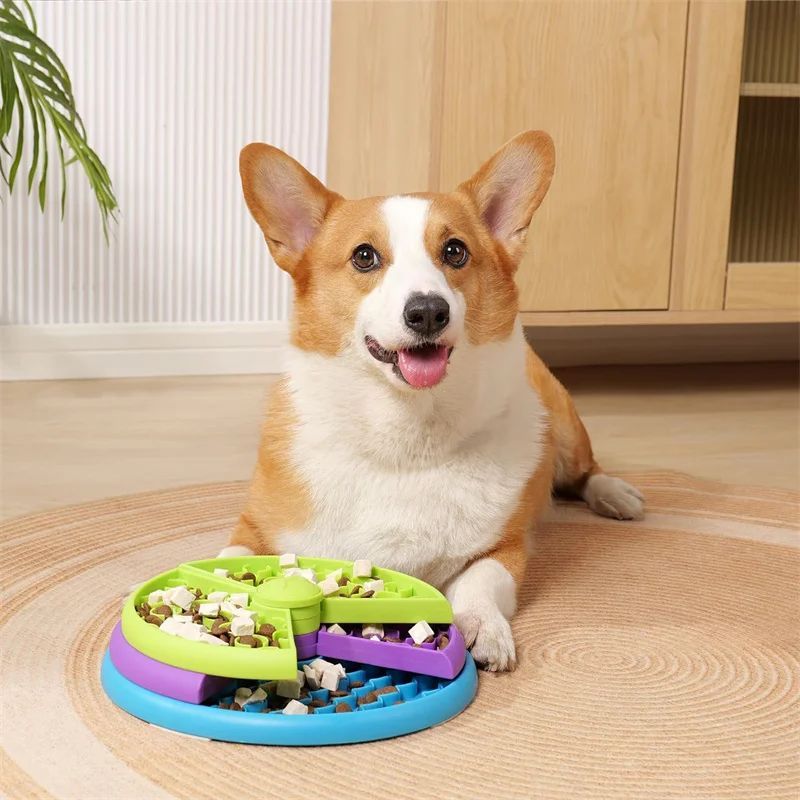 3-Layer Food Bowl for Fast Eaters
