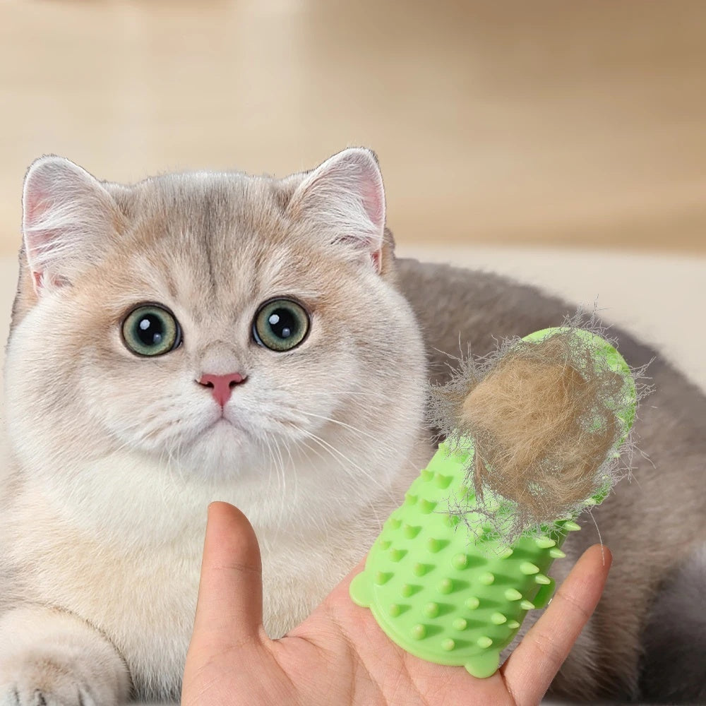Silicone Elastic Cat Scratcher
